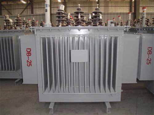 扬州S13-100KVA/10KV/0.4KV油浸式变压器